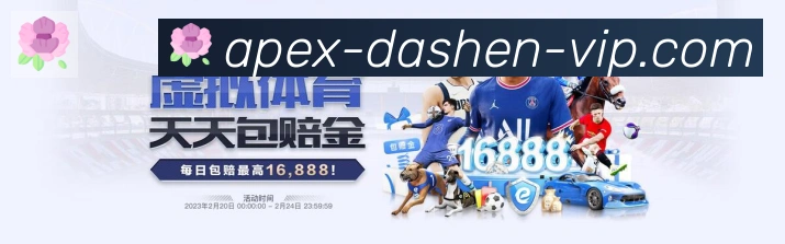 战术分析频道